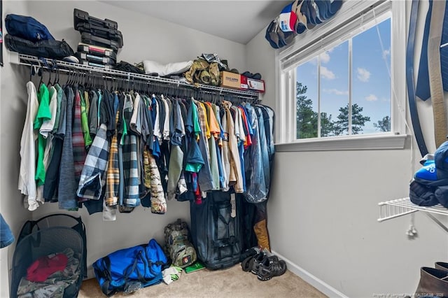 walk in closet with carpet flooring