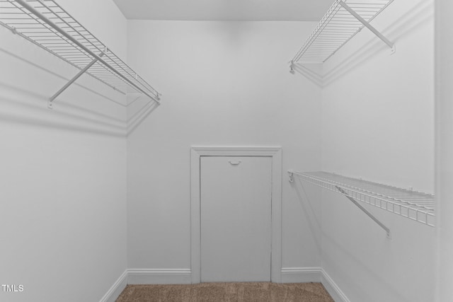 walk in closet with carpet