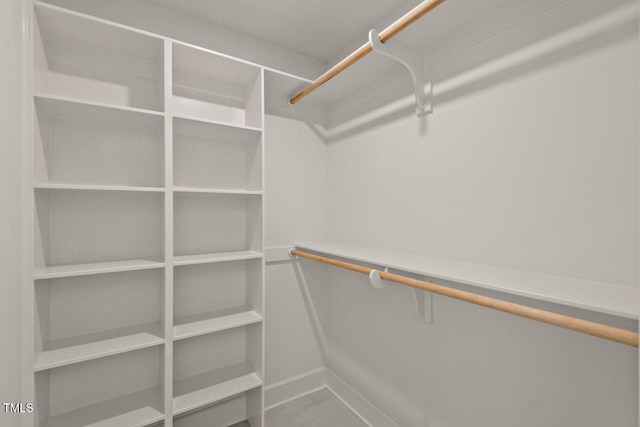 view of spacious closet