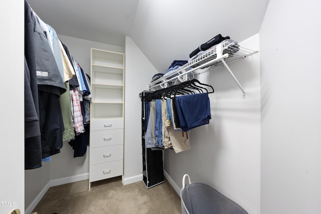 spacious closet with carpet floors