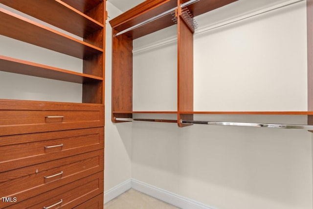 405 Silver Creek Trl, Chapel Hill, NC 27514 - view of spacious closet