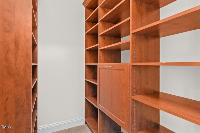 405 Silver Creek Trl, Chapel Hill, NC 27514 - view of spacious closet