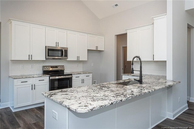 5814 James Allen Ln, Stedman, NC 28391 - kitchen featuring stainless steel appliances, a peninsula, dark wood-style flooring, light stone countertops, and high vaulted ceiling