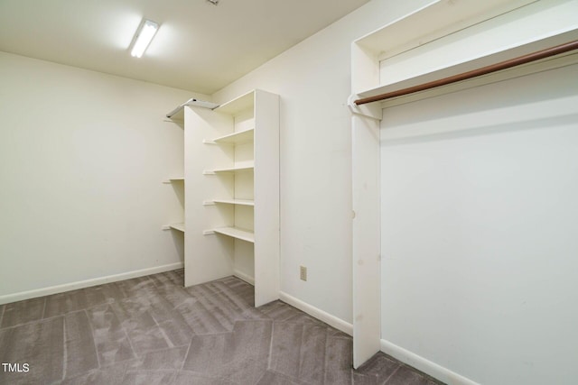 spacious closet featuring carpet flooring