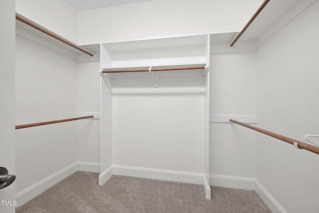 walk in closet with carpet