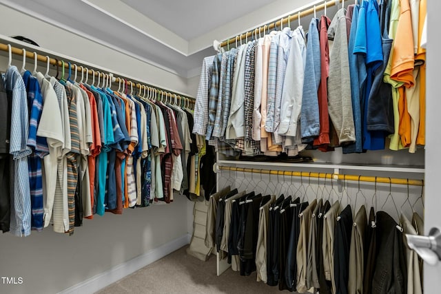 spacious closet with carpet floors