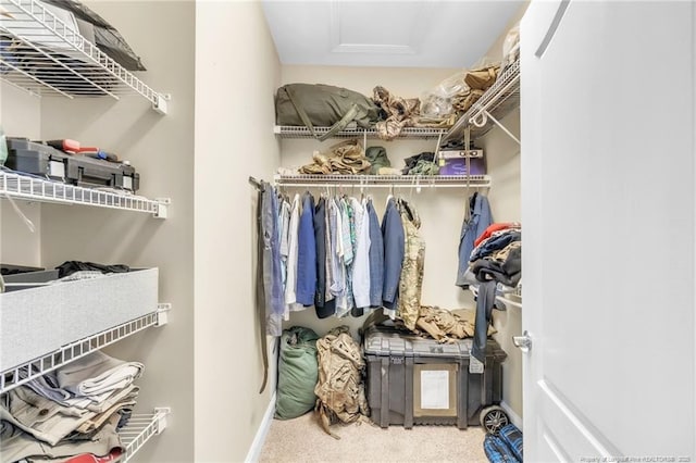 walk in closet with carpet flooring