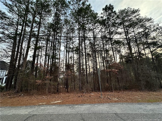 Listing photo 3 for 3408 Clearwater Dr, Fayetteville NC 28311