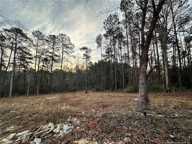 3408 Clearwater Dr, Fayetteville, NC 28311 - photo 4