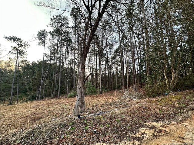3408 Clearwater Dr, Fayetteville, NC 28311 - photo 5
