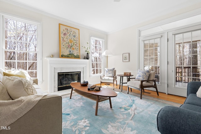 living room featuring a premium fireplace, wood finished floors, and ornamental molding