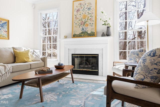 living room with a fireplace and a healthy amount of sunlight