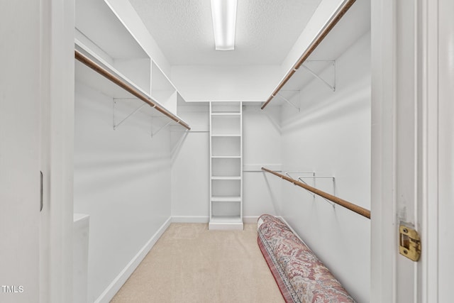 walk in closet featuring light colored carpet