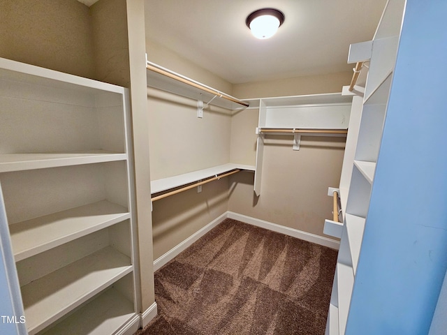 spacious closet featuring carpet floors