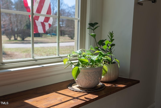 view of room details