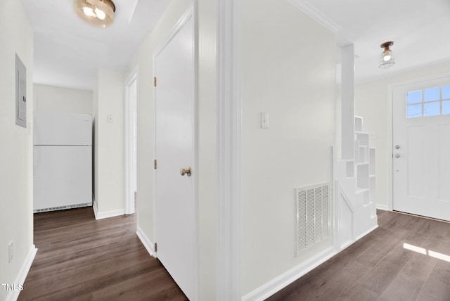 interior space featuring electric panel, visible vents, baseboards, and dark wood-type flooring