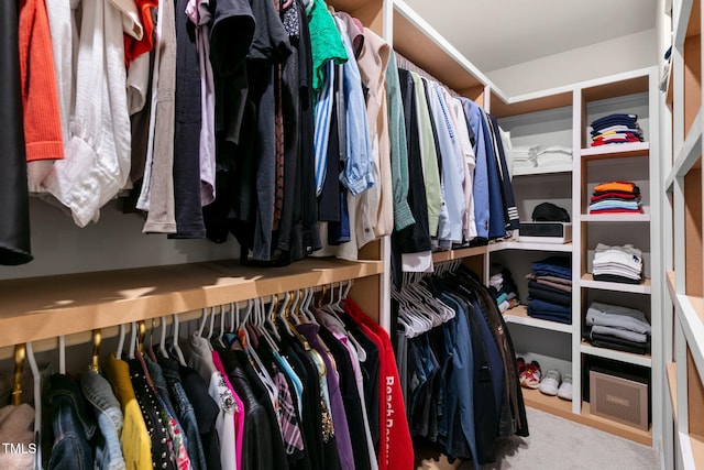 spacious closet featuring carpet flooring