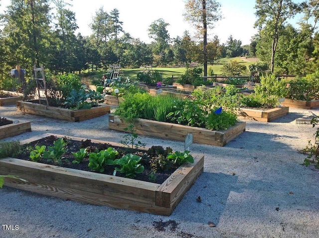 surrounding community featuring a vegetable garden