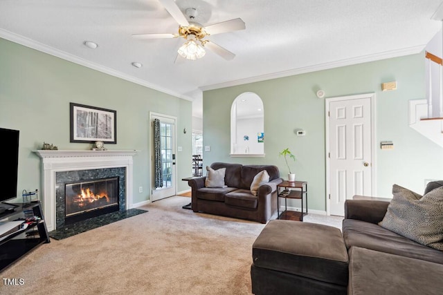 living area with carpet floors, a fireplace, and crown molding