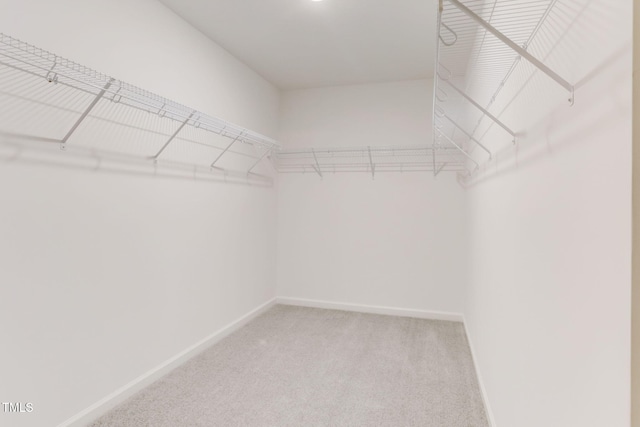 spacious closet with light colored carpet