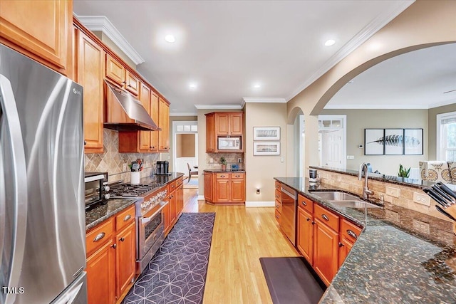 kitchen featuring light wood finished floors, a sink, ornamental molding, stainless steel appliances, and under cabinet range hood