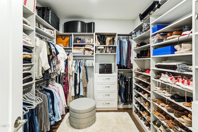 spacious closet featuring dark wood finished floors