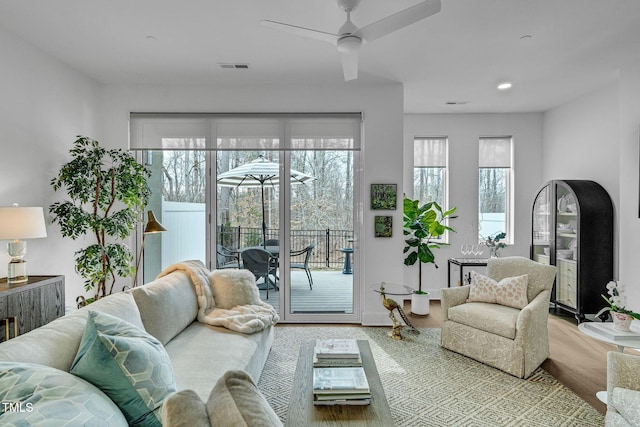 living area featuring visible vents, ceiling fan, and wood finished floors