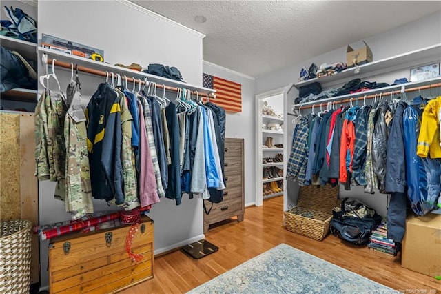 walk in closet featuring wood finished floors