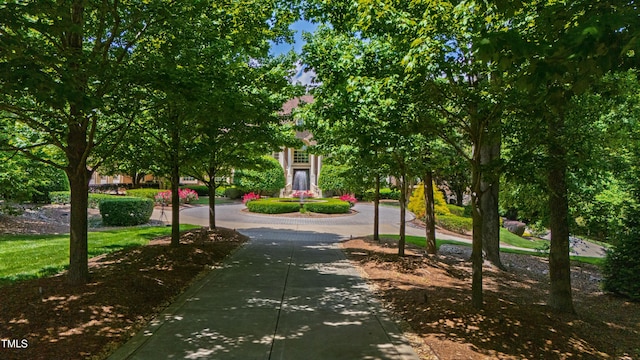 2421 Acanthus Dr, Wake Forest, NC 27587 - view of property's community