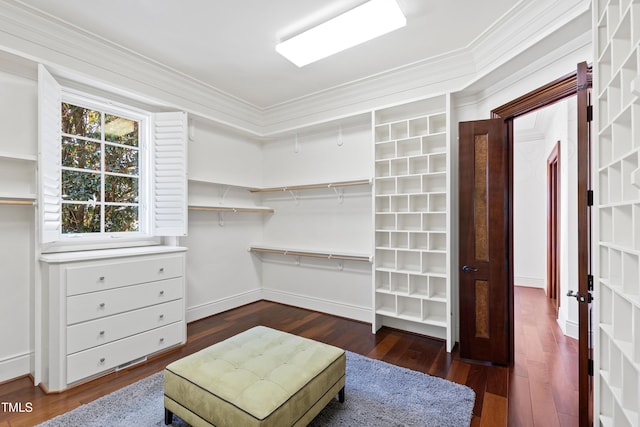 2421 Acanthus Dr, Wake Forest, NC 27587 - spacious closet featuring dark wood-style floors