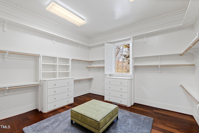 2421 Acanthus Dr, Wake Forest, NC 27587 - spacious closet with wood finished floors