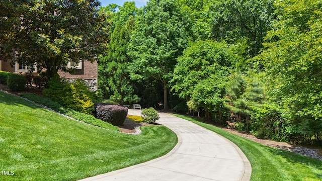 2421 Acanthus Dr, Wake Forest, NC 27587 - view of property's community featuring a lawn and concrete driveway