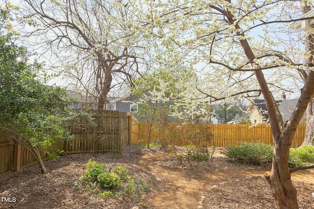 view of yard with a fenced backyard