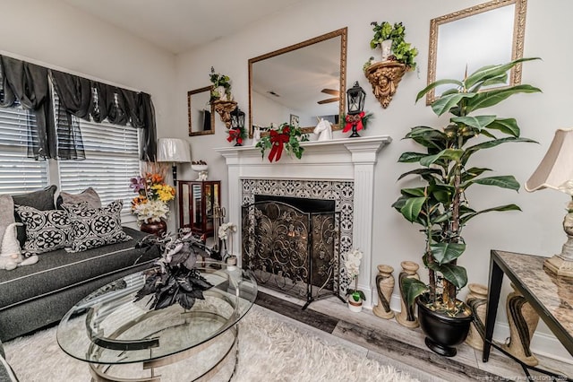 living room featuring wood finished floors and a fireplace