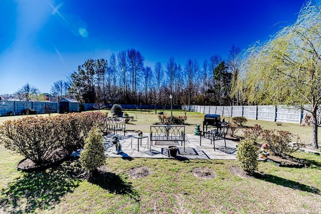 view of yard with a storage shed, a patio area, a fenced backyard, and an outbuilding