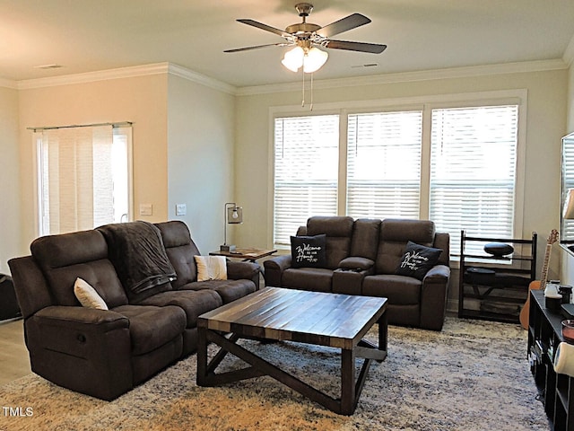 519 Flat Ford Rd, Hillsborough, NC 27278 - living room featuring a ceiling fan, ornamental molding, a healthy amount of sunlight, and wood finished floors
