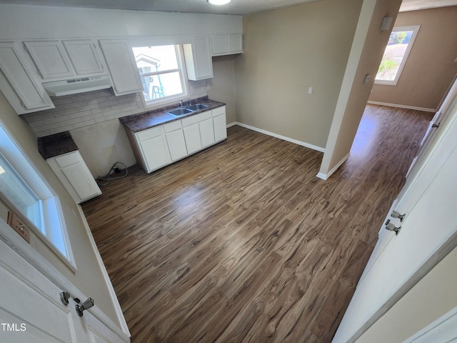 kitchen with a healthy amount of sunlight, dark wood-type flooring, and a sink