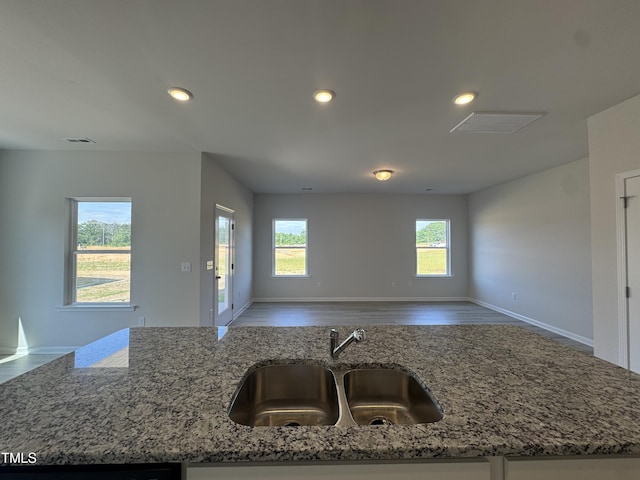 184 Bruce Dr, Dunn, NC 28334 - kitchen with open floor plan, a sink, light stone counters, recessed lighting, and wood finished floors