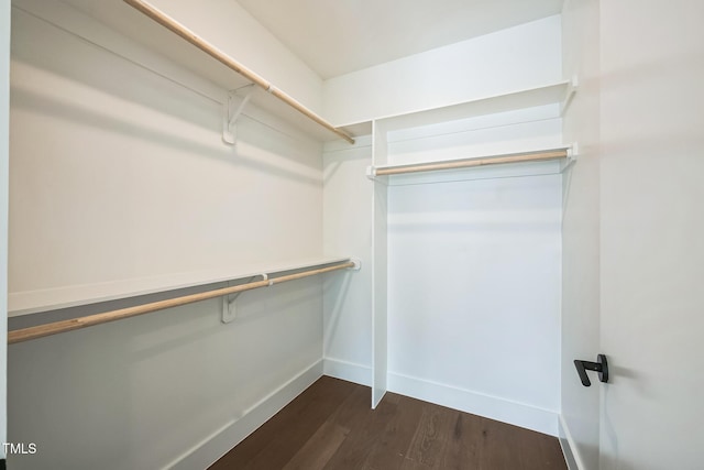 spacious closet with dark wood-style floors