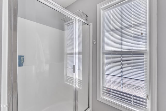 bathroom featuring a wealth of natural light and a shower stall