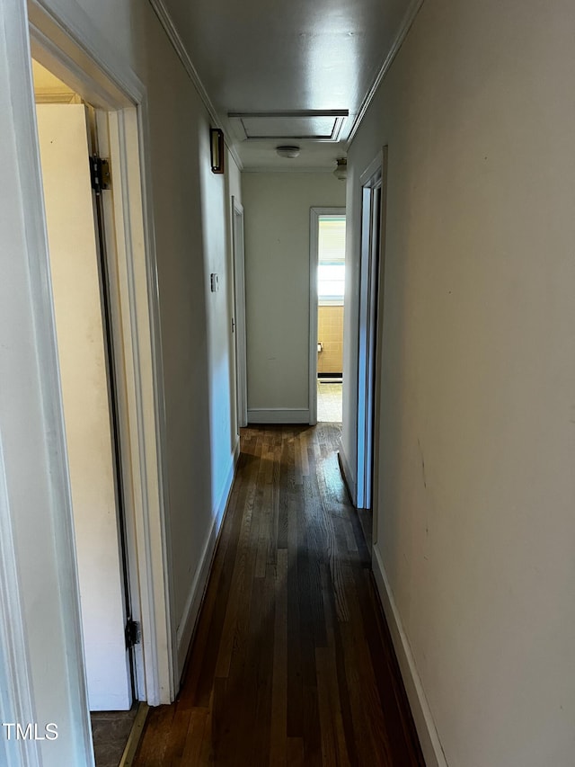 hallway featuring baseboards, attic access, dark wood finished floors, and crown molding