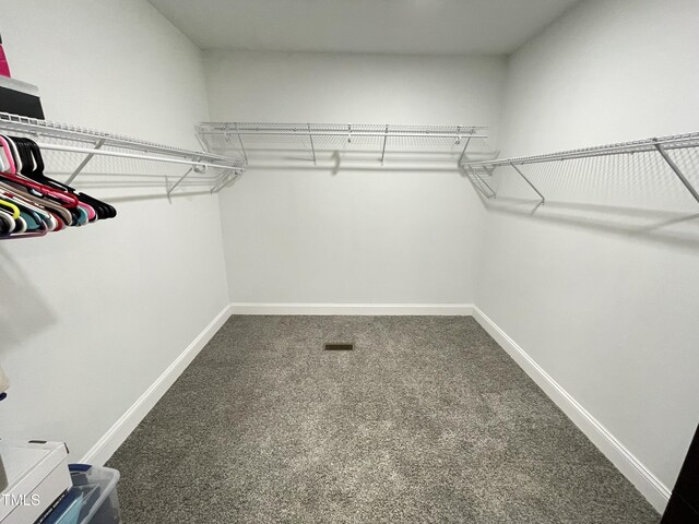 spacious closet featuring carpet