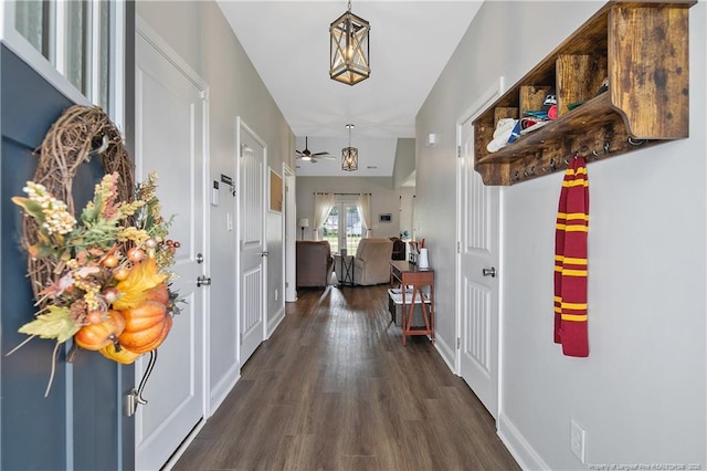 foyer entrance with baseboards and dark wood-type flooring