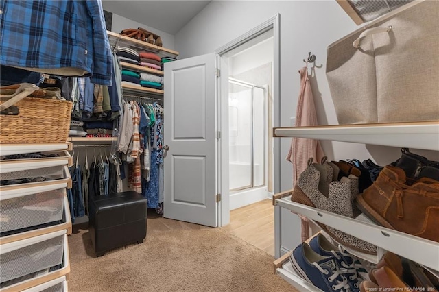 walk in closet with light colored carpet