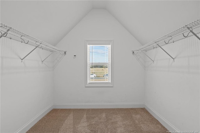 spacious closet with lofted ceiling and carpet