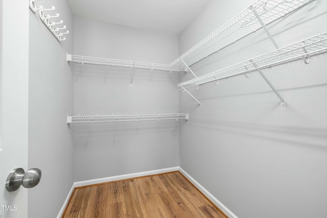 walk in closet featuring wood finished floors