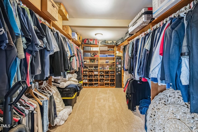 spacious closet with carpet