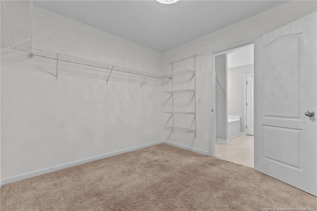 walk in closet featuring light colored carpet