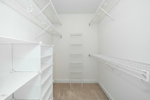 walk in closet with light carpet