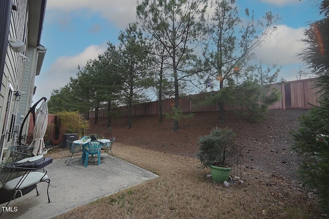 view of yard featuring a patio area and a fenced backyard